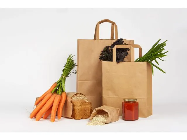 Bærepose papir m/håndtak 10L (250)