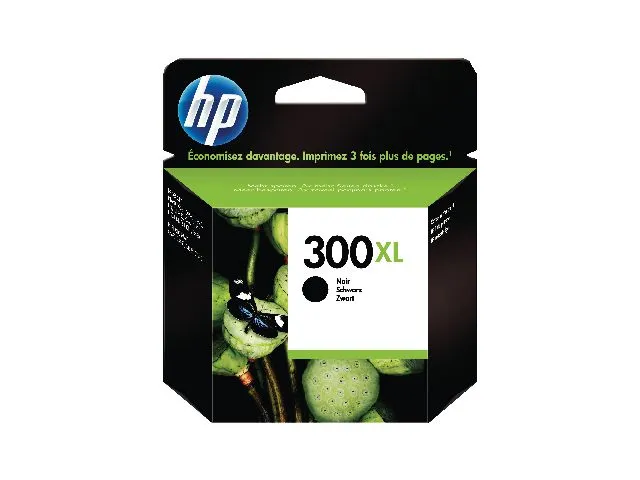 HP Blekk 300XL CC641EE sort