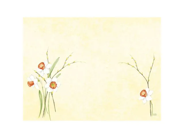 Duni Bordbrikke DuniCEL 30x40cm DJ(250)
