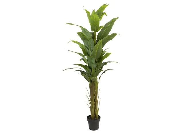 Kunstig plante Strelitzia 180cm