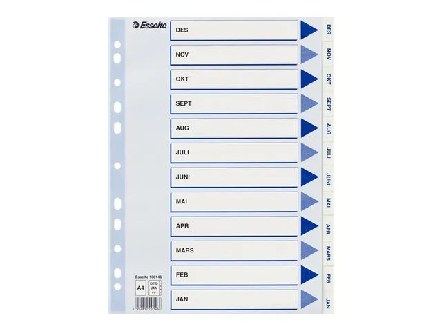 Esselte Register ESSELTE A4 plast des-jan hvit