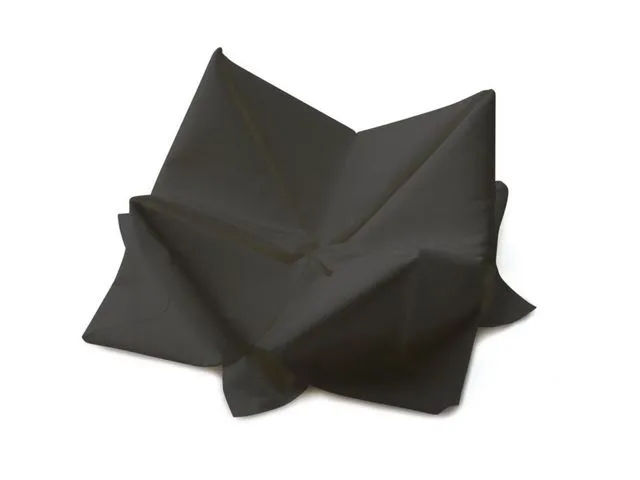Duni Serviett Duni 3L 33cm sort (125)