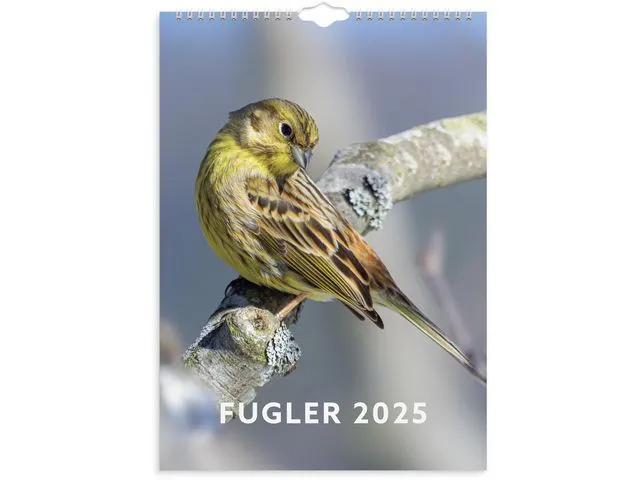 Grieg Veggkalender GRIEG 2025 Fugler