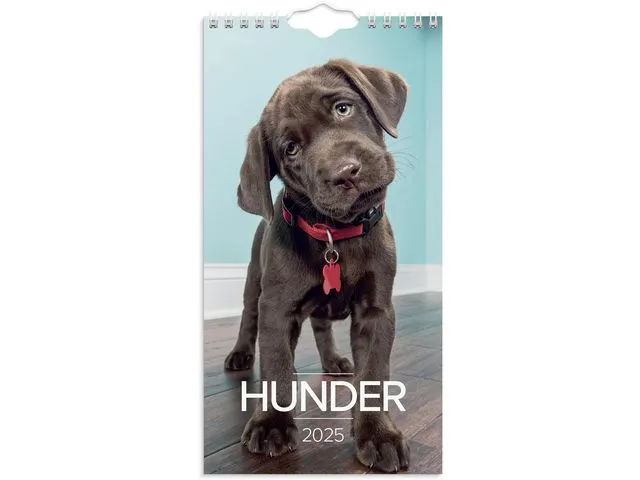 Grieg Veggkalender GRIEG 2025 Hunder Mini