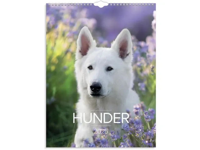 Grieg Veggkalender GRIEG 2025 Hunder