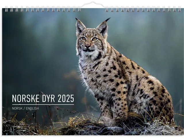 Grieg Veggkalender GRIEG 2025 Norske dyr